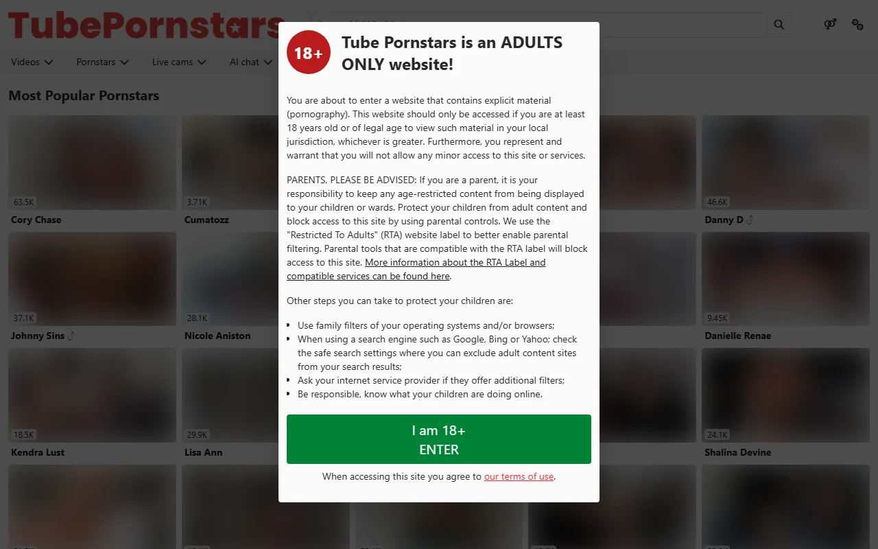 Screenshot: Tubepornstars Screenshot of Tubepornstars